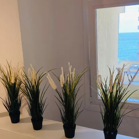 First Line! Art-apartment On The Seafront Of With Swimming Pool Appartement *