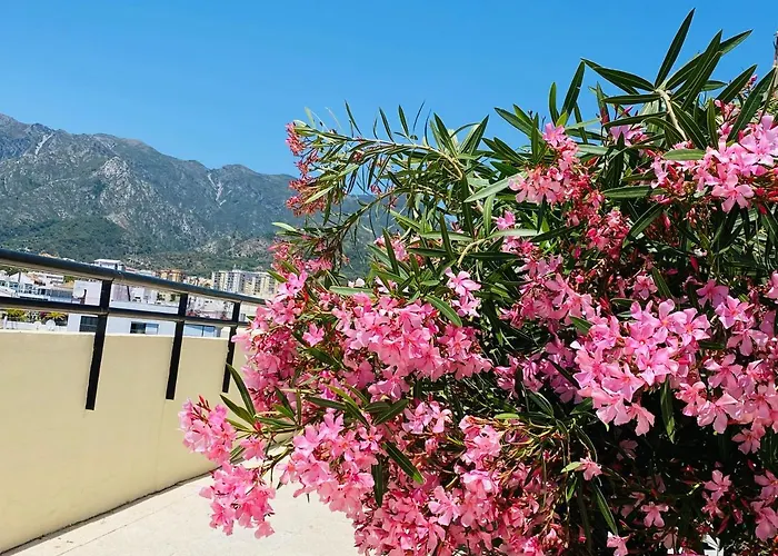 First Line! Art-apartment On The Seafront Of With Swimming Pool 아파트